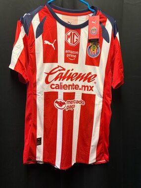 Chivas Guadalajara 2024/25 Authentic Home Jersey